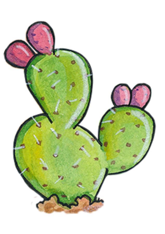 Bed & Breakfast Opuntia *